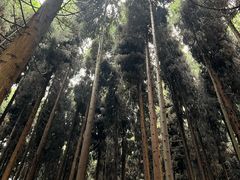 -太阳湾风景区