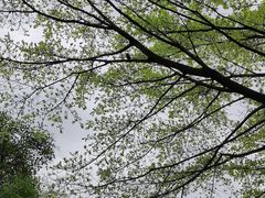 -海珠湖公园