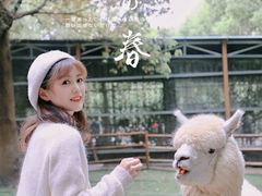 -秀丽东方