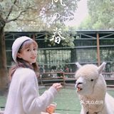 成都周边｜春日神仙出游地，虞美人盛开的山坡