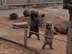 -昆明动物园