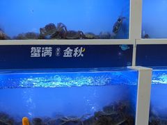 -蟹状元大闸蟹·年货·粽子(成都成华店)