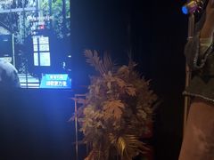 -黑桃K生日订制KTV