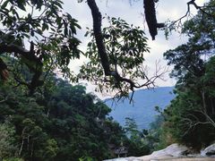 -海南热带雨林国家公园吊罗山景区