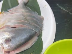 -小海豚•老字号海鲜餐厅(天涯店)