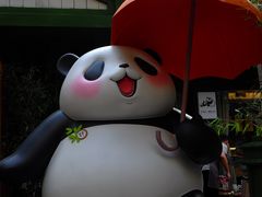 -轩客会(熊猫书店)