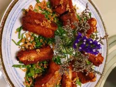 -墨脱石锅椰子鸡•香草鸭•东山羊(大东海店)