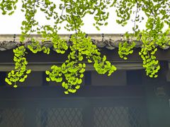 -成都杜甫草堂博物馆