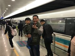 -龙阳路磁悬浮列车总站-停车场