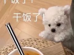 -陈记卤煮小肠