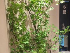 -乡里八闽·福州乡土菜(高宅店)
