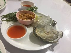 -T&K 海鲜
