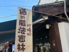 -猫的魔法密林(衣裳街店)