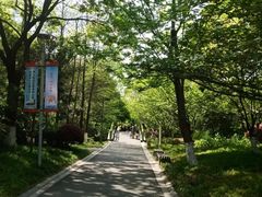 -青枫公园