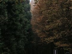 -山王坪喀斯特国家生态公园