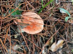 -萍乡武功山风景名胜区