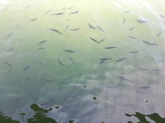 -苏州吴中太湖旅游区