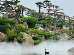 -罗红摄影艺术馆