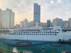 -润园四季椰子鸡火锅(海上世界店)