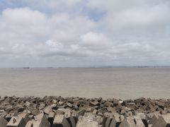 -上海滨江森林公园