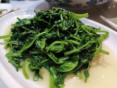 炒时蔬-院8里·少城记忆老川菜(宽窄巷子店)