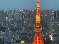 -六本木新城展望台(东京城市景观)