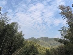 -宁波浙东大竹海景区