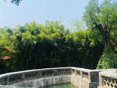 -习家池