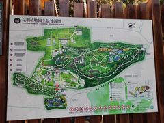 -昆明植物园