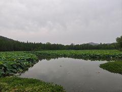-云龙湖旅游景区