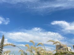 -龙美术馆(西岸馆)