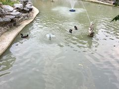 -上海虹桥迎宾馆