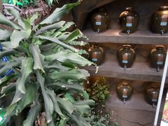 -醉小酒馆·川菜·江湖菜·重庆菜(观音桥旗舰店)