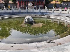 -顺峰山公园