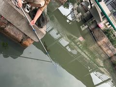 -大莲湖农家乐(青西郊野公园店)