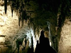 -怀托摩萤火虫洞