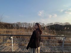 -西湖风景区-江洋畈生态公园