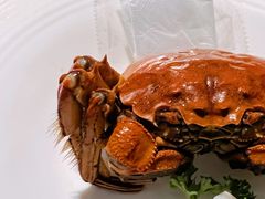 醉蟹-壹品宴掦·淮扬菜(新牌坊店)