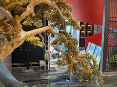 -现代华天大酒店海鲜自助餐(芙蓉南路店)