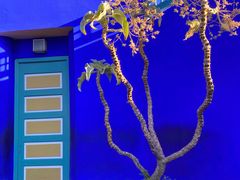 -马洛雷勒花园