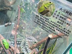 -上海大自然野生昆虫馆(东方明珠·爬宠昆虫探索中心)
