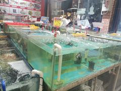 水产区-林记生蚝·专注生蚝三十载(创意园店)
