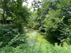 -摇橹船上船码头