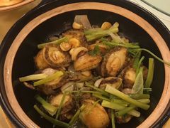 陈皮蒸鲍鱼-盛港湾海鲜食府(黄沙店)