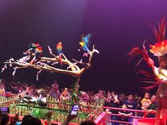 -广州长隆国际大马戏