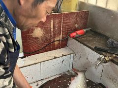 -笑红饭庄
