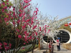 -南山植物园