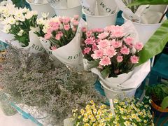 -BoBloom花店(晶耀前滩店)