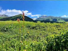 -新疆那拉提国家旅游度假区