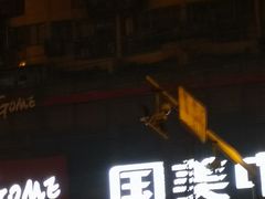 -国美电器成都分公司(双楠店)